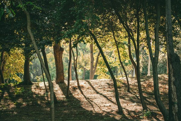 Natural Arthritis Relief for Seniors: Top Drug-Free Strategies to Ease Pain