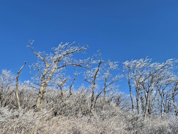 Perfect First-Trimester Exercises for UK Pregnant Women: Your Ultimate Daily Routine Guide